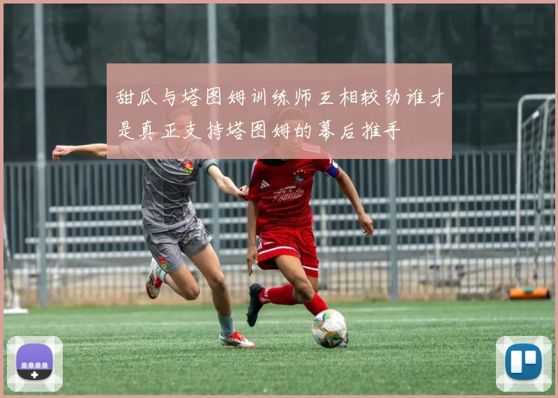 甜瓜与塔图姆训练师互相较劲谁才是真正支持塔图姆的幕后推手
