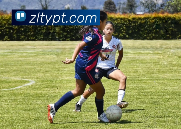 电竞数据